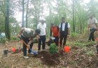 Selamatkan Sumber Mata Air, Perhutani Lawu Ds dan Pemkab Ngawi Gelar Penghijauan di Lereng Gunung Lawu