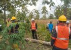 Perhutani Padangan Gelar Sosialisasi Penerapan K3L pada Lokasi Tebangan