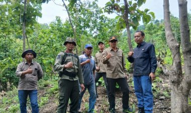 Perhutani Bondowoso Verifikasi Lapangan di Kawasan Hutan BKPH Panarukan
